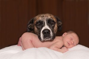 Lee más sobre el artículo Cuáles son las ventajas de que los niños se crien con mascotas