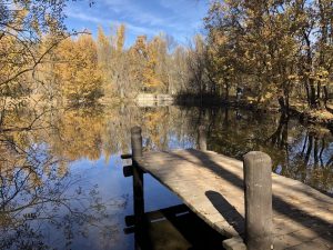 Lee más sobre el artículo Ruta por el Bosque Finlandés de Rascafría (con niños)
